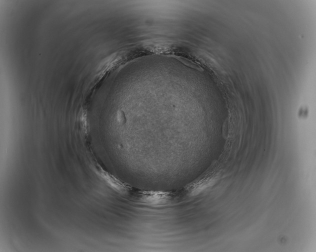 X0000098190288200805011131