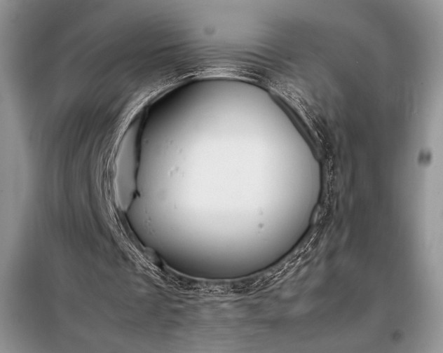 X0000098190289200805011130