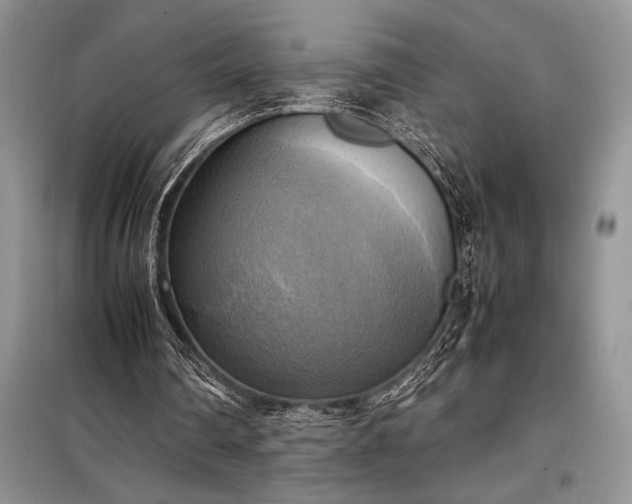 X0000098190290200805011130