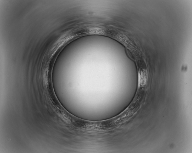 X0000098190291200805011130