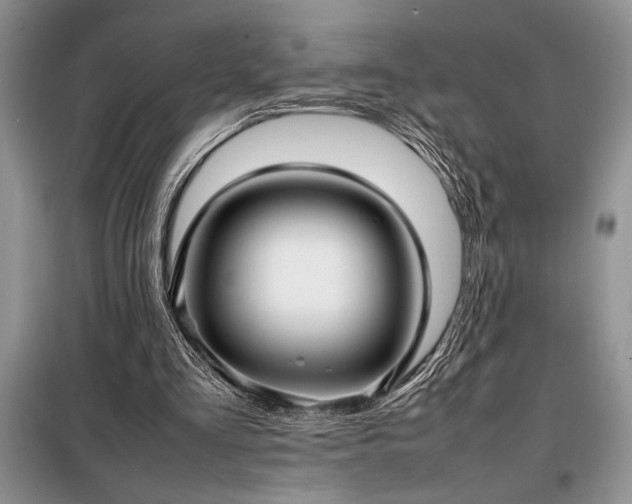 X0000098190293200805011130