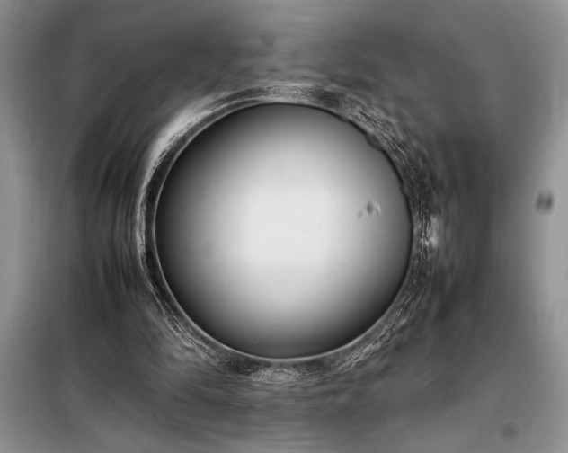 X0000098190294200805011130