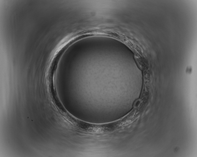 X0000098190295200805011130