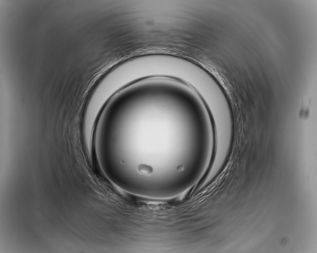 X0000098190297200805011130