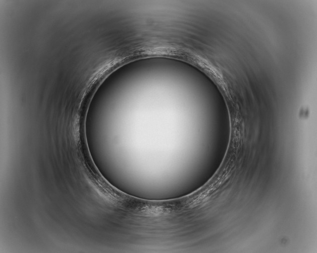 X0000098190298200805011130