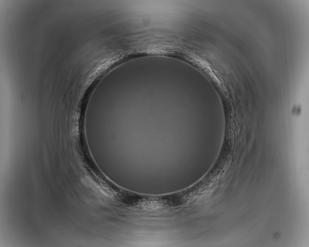 X0000098190299200805011130