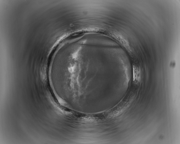 X0000098190300200805011130