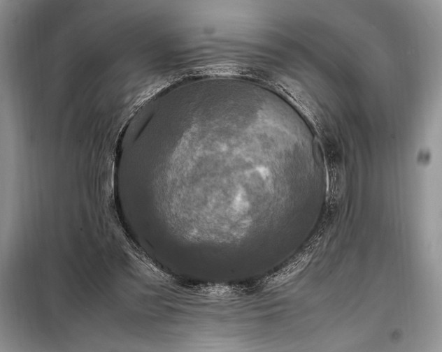 X0000098190301200805011130