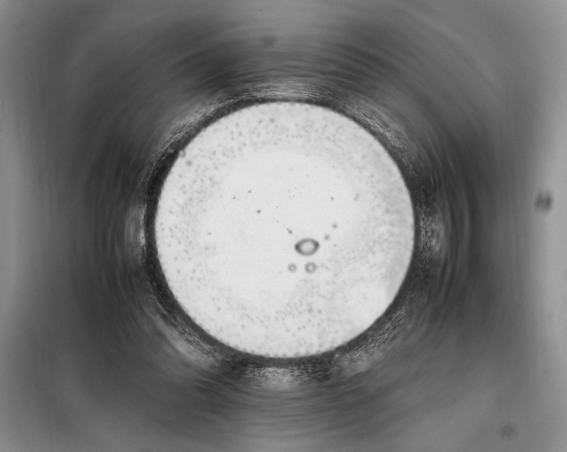 X0000098190302200805011130