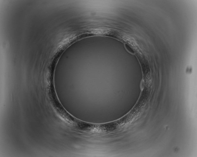 X0000098190303200805011130