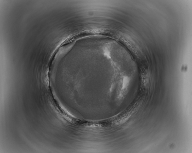 X0000098190304200805011130