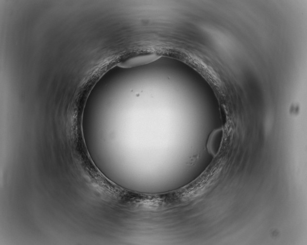 X0000098190306200805011130
