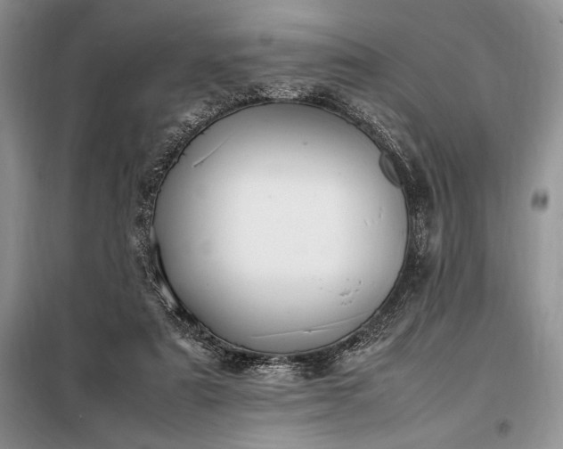 X0000098190307200805011129
