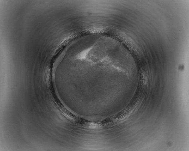 X0000098190308200805011129