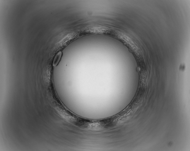 X0000098190309200805011129