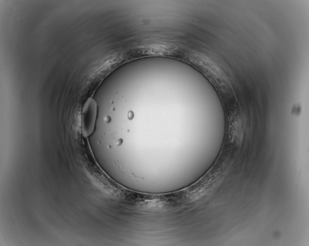 X0000098190310200805011129