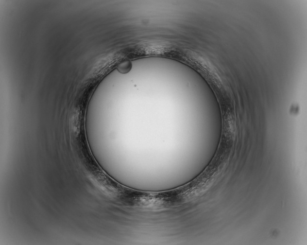 X0000098190311200805011129