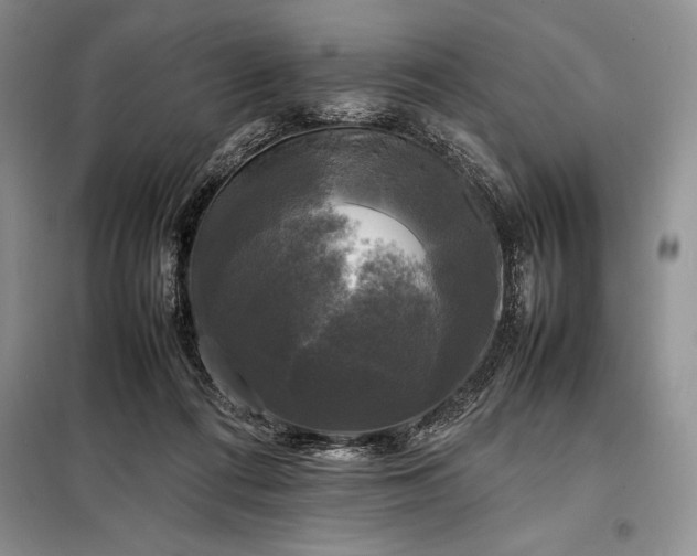 X0000098190312200805011129