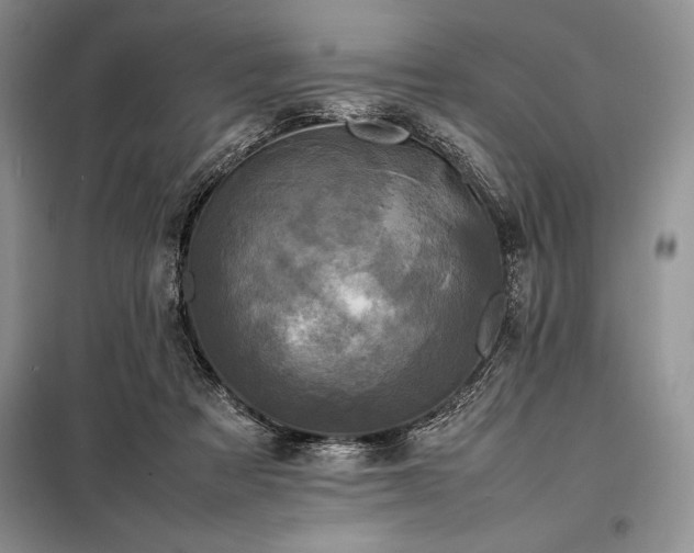 X0000098190313200805011129