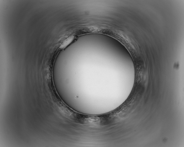 X0000098190317200805011129