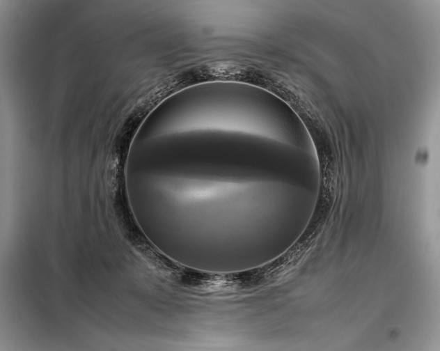 X0000098190319200805011129