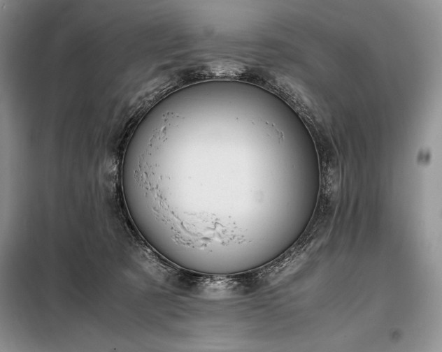 X0000098190321200805011129