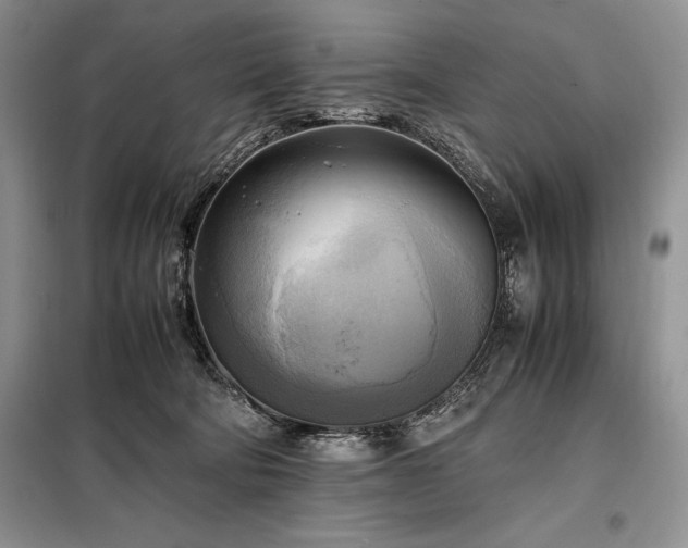 X0000098190322200805011129