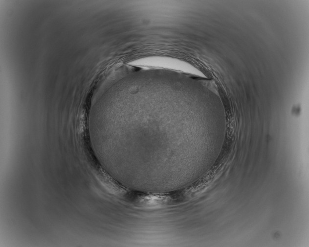 X0000098190323200805011129