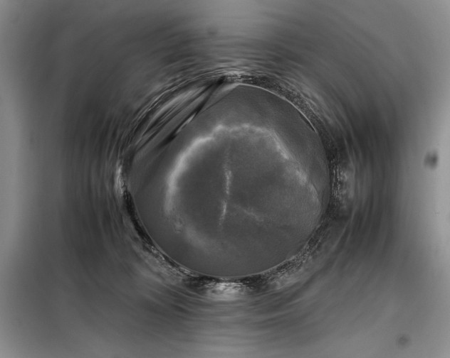 X0000098190324200805011129