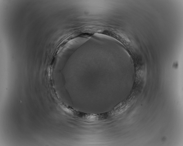 X0000098190325200805011129