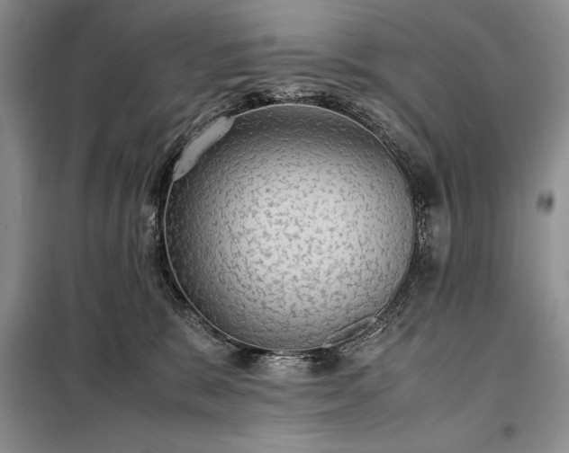 X0000098190327200805011129