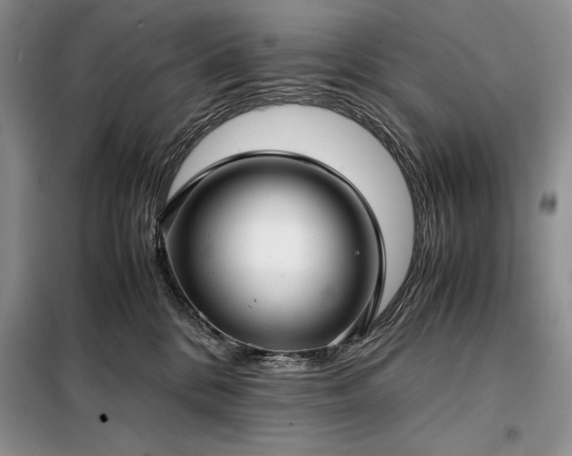 X0000098190328200805011129