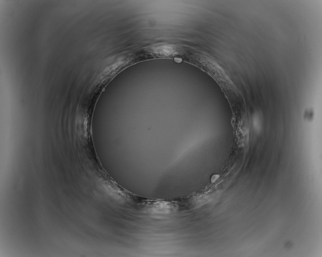 X0000098190330200805011129