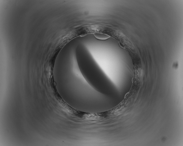 X0000098190331200805011129
