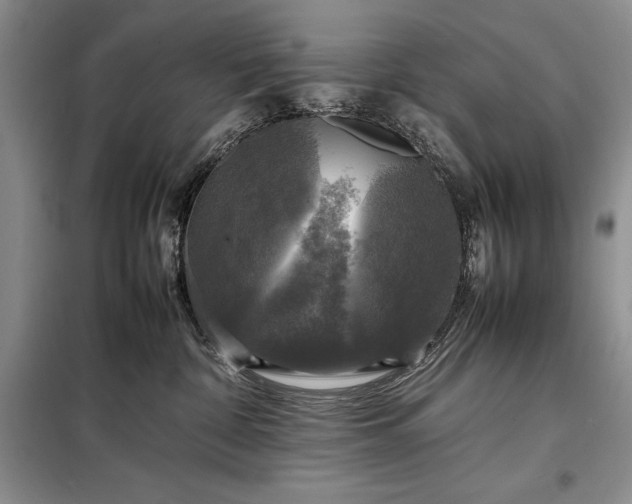 X0000098190332200805011129
