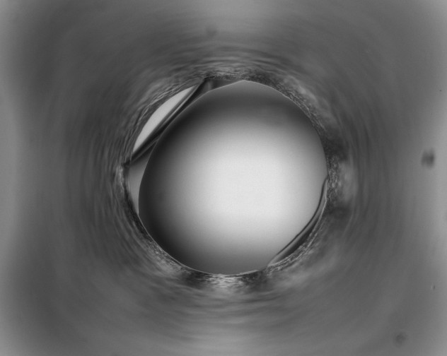X0000098190333200805011129
