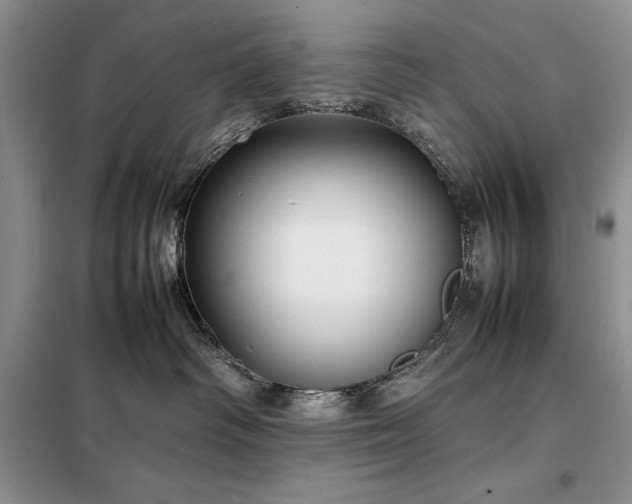 X0000098190334200805011129