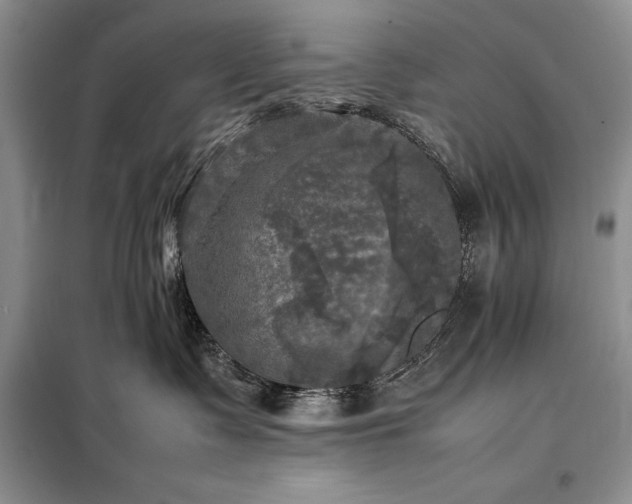 X0000098190335200805011129