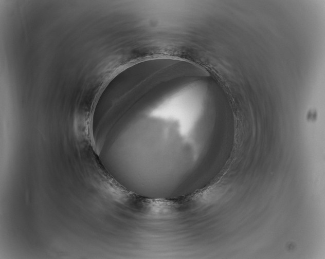 X0000098190336200805011129