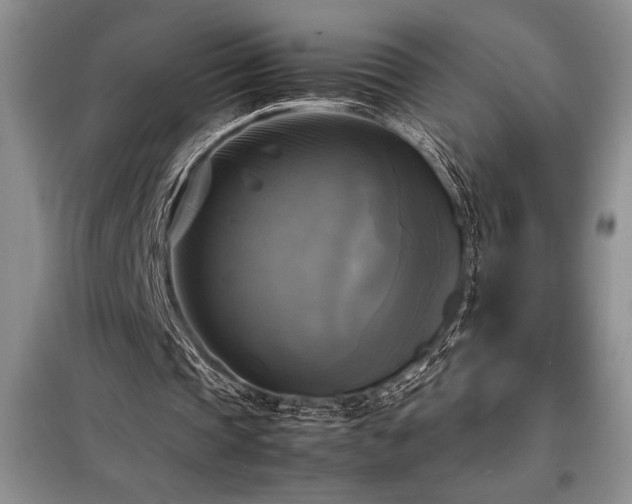 X0000098190337200805011128