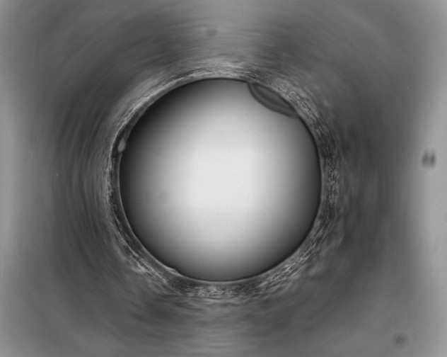 X0000098190338200805011128