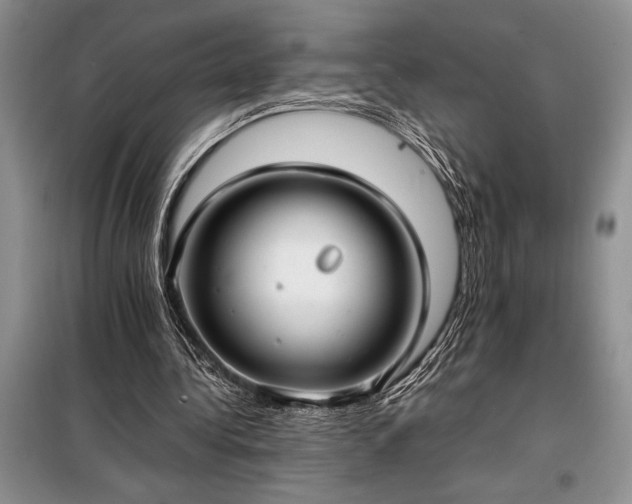 X0000098190340200805011128