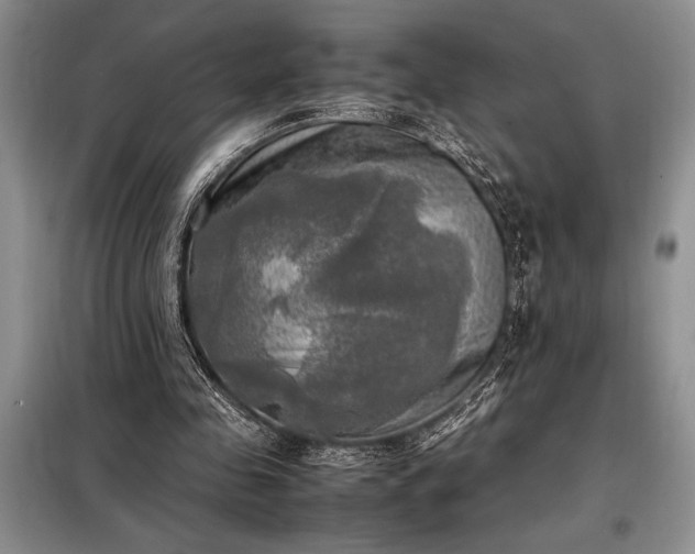 X0000098190341200805011128