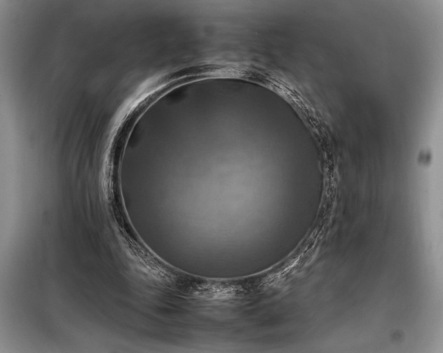 X0000098190343200805011129