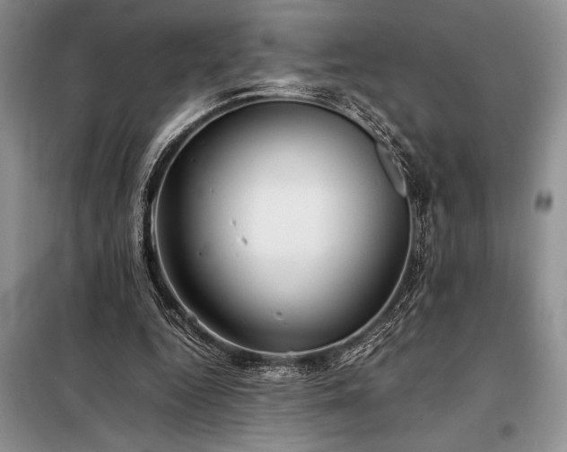 X0000098190344200805011129
