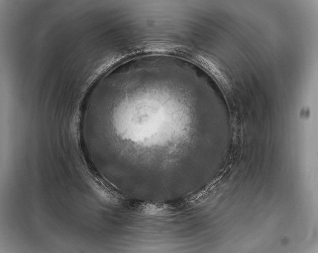 X0000098190346200805011129