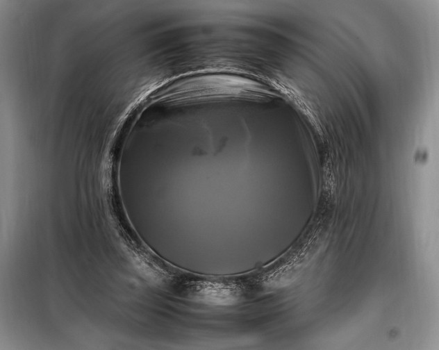X0000098190347200805011129