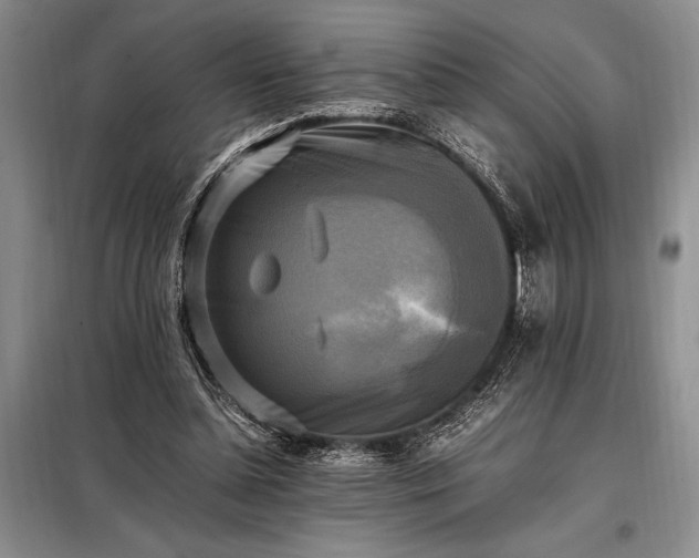 X0000098190348200805011129