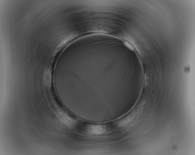 X0000098190349200805011129