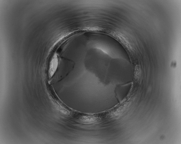 X0000098190351200805011129